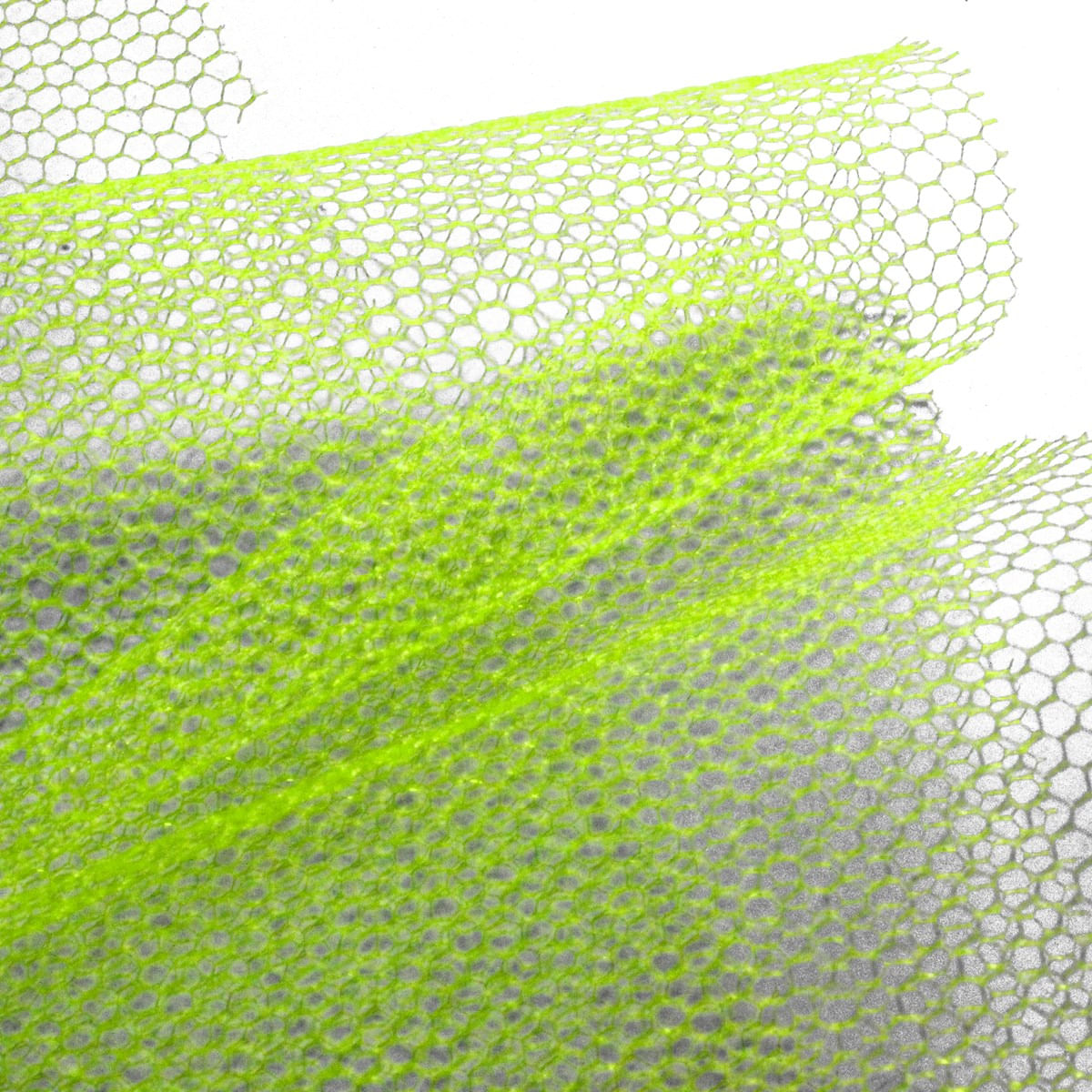 08-VERDE LIMAO