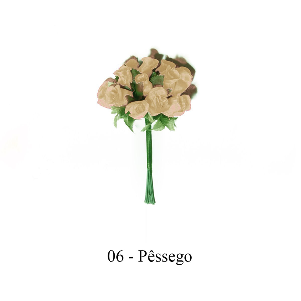 E06-PESSEGO