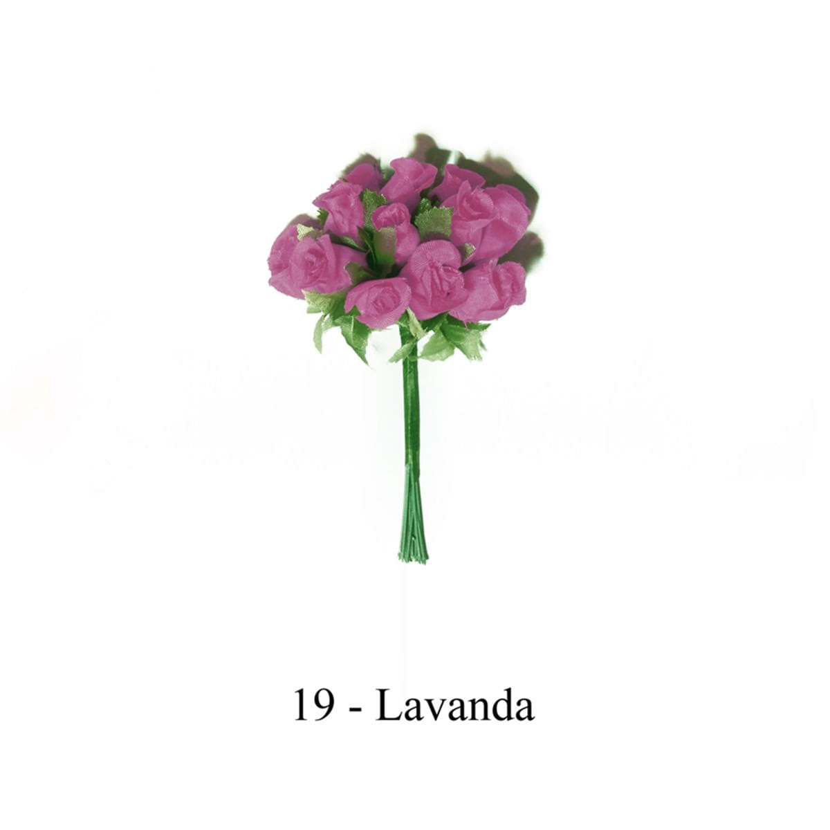 E19-LAVANDA