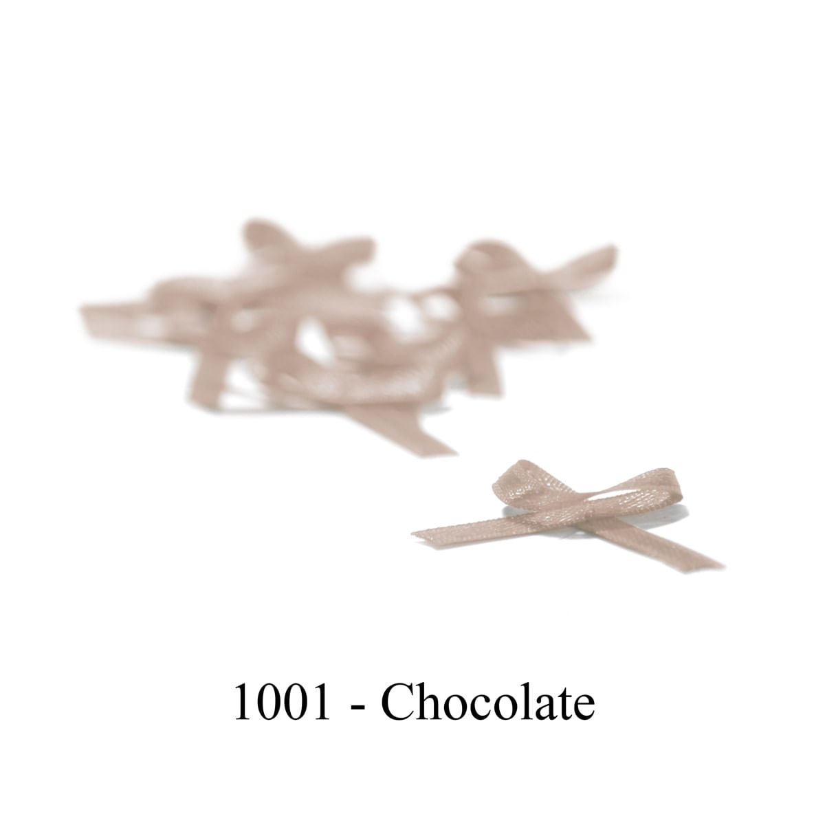 1001-CHOCOLATE
