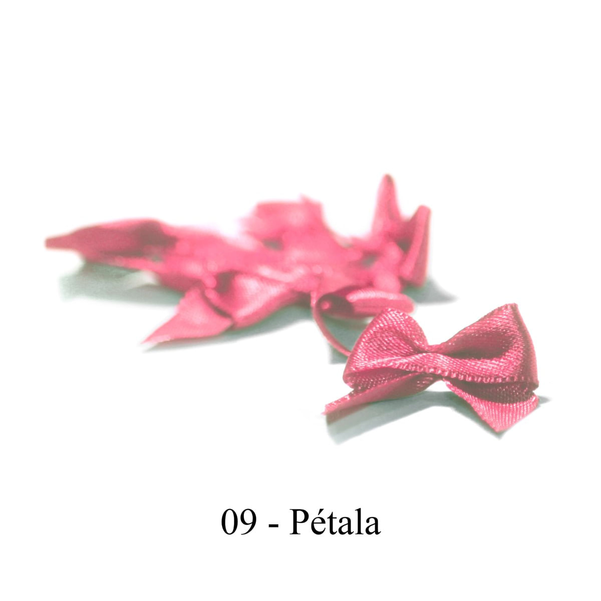 09-ROSA PETALA