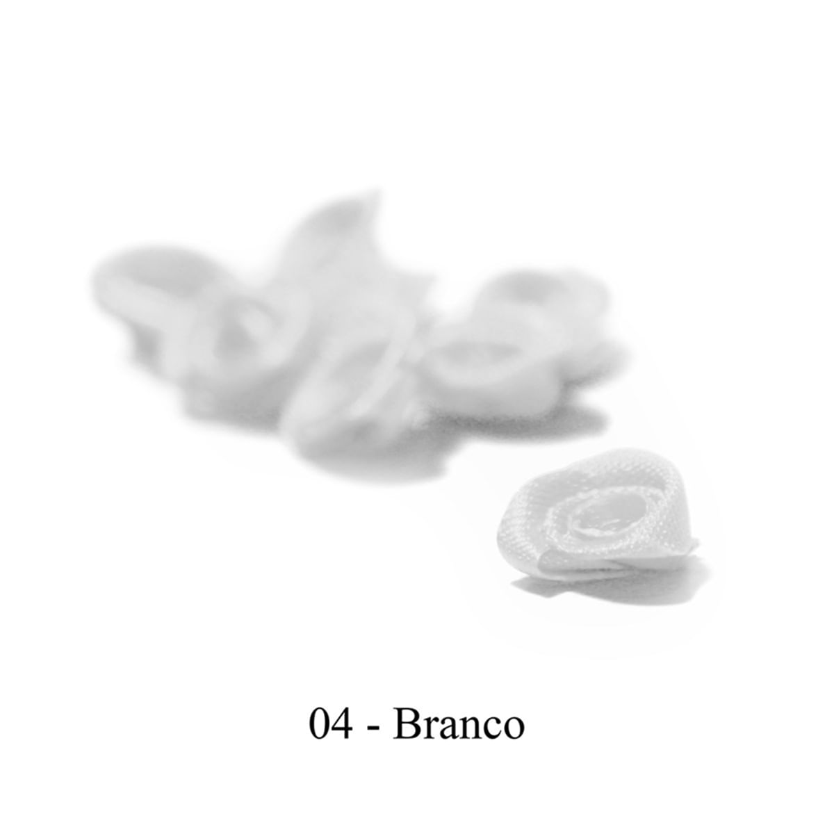 0004-BRANCO
