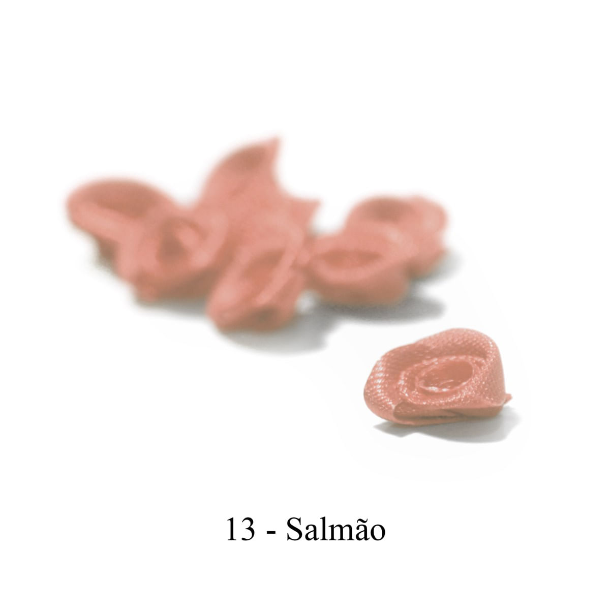 13-SALMAO