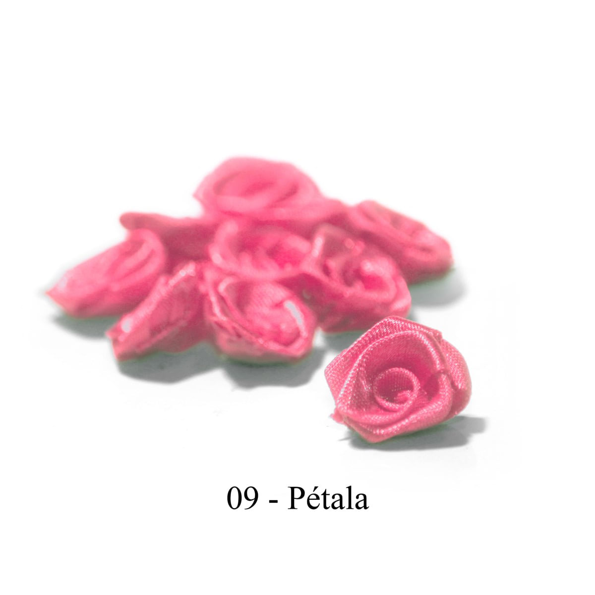 09-ROSA PETALA