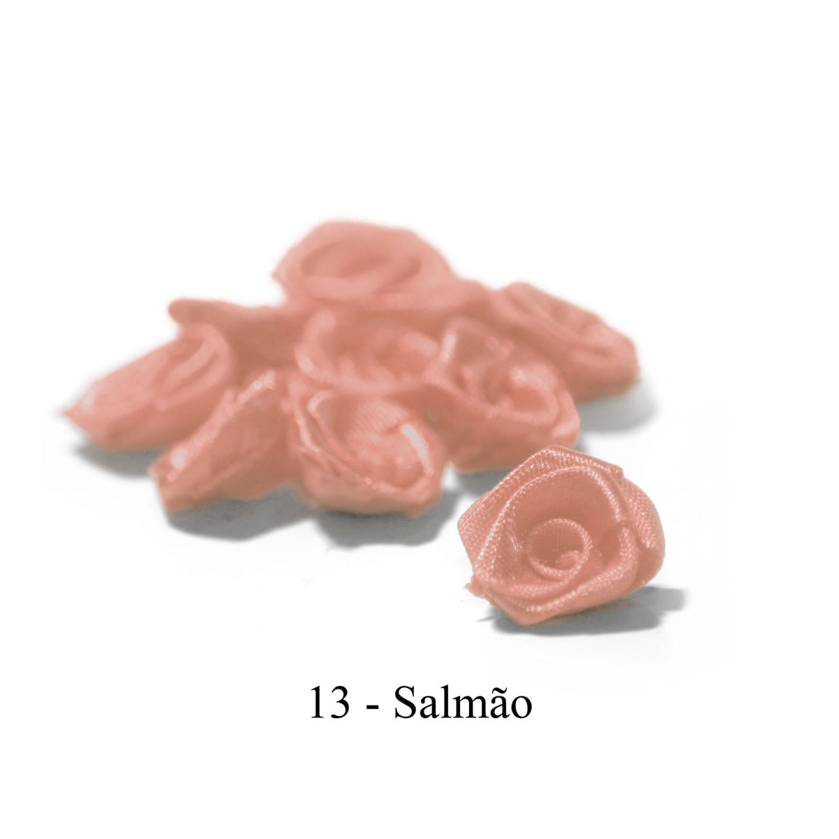 13-SALMAO