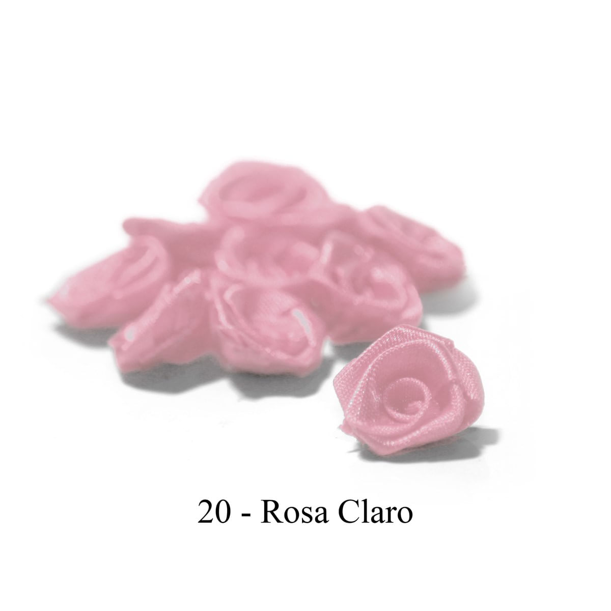 20-ROSA