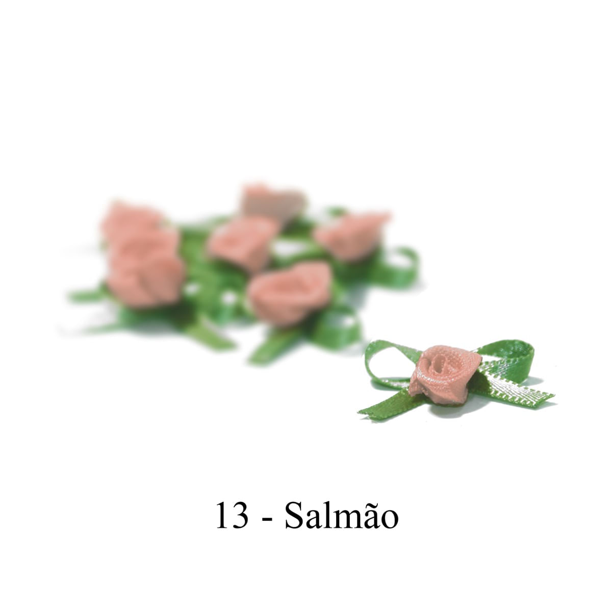 13-SALMAO