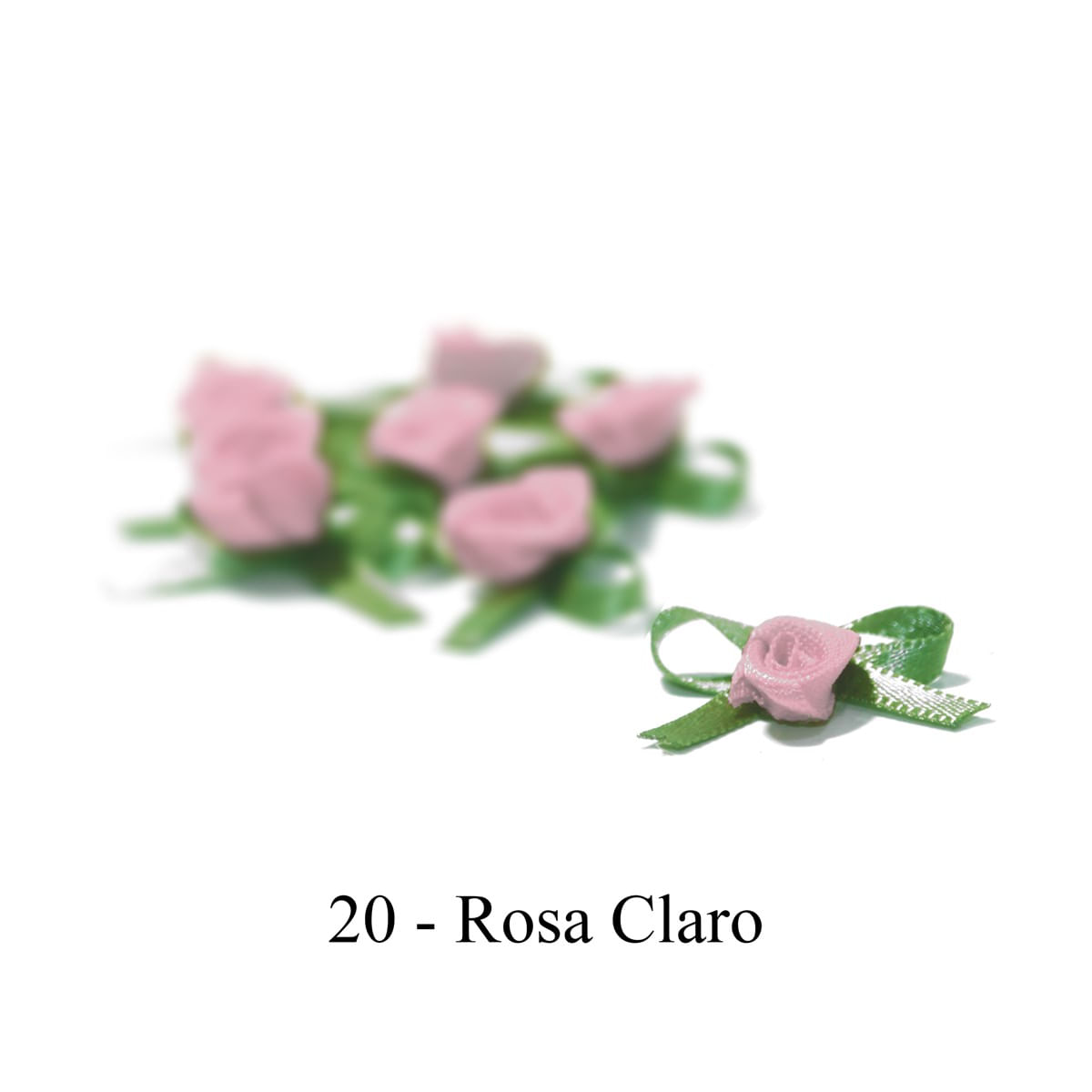 20-ROSA
