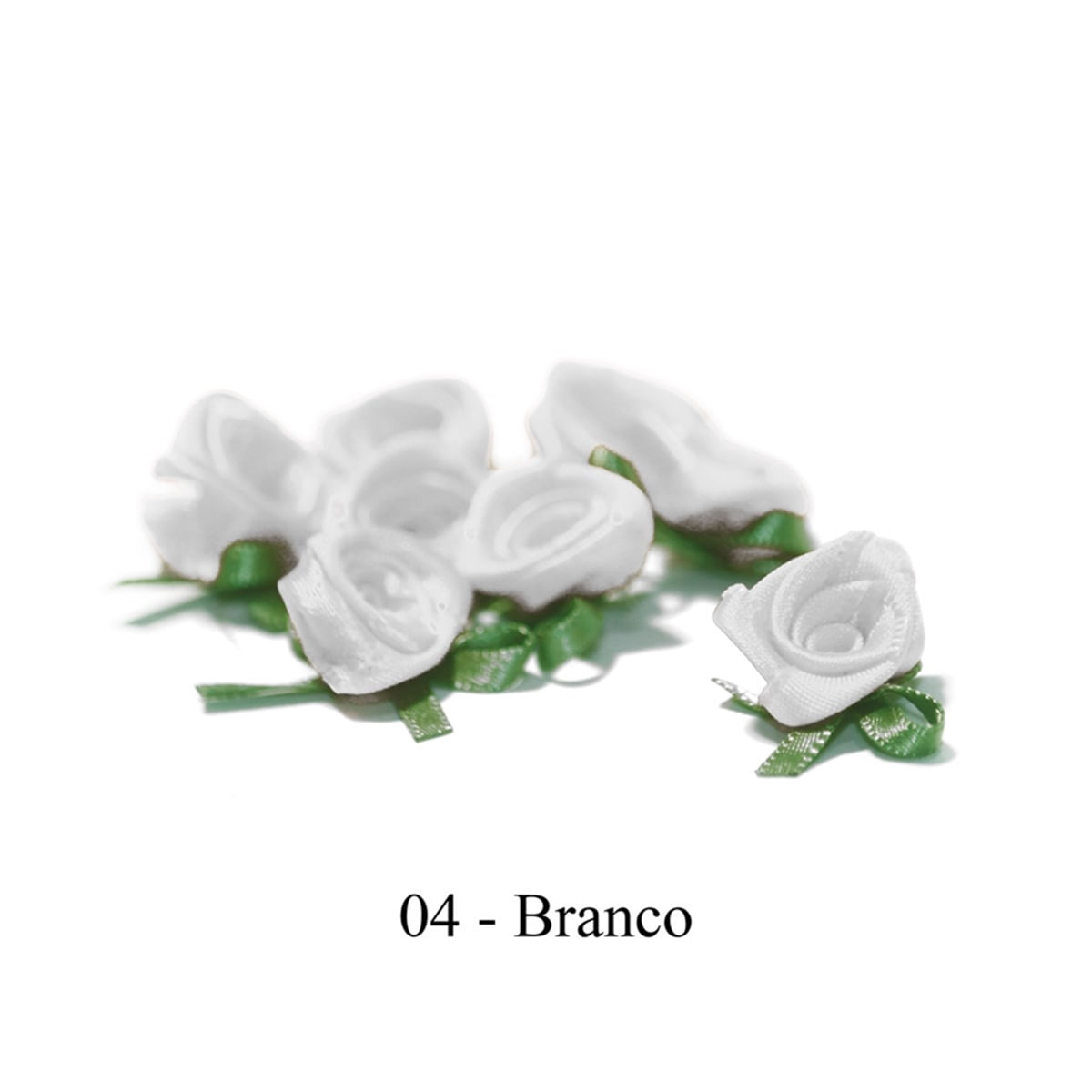 0004-BRANCO