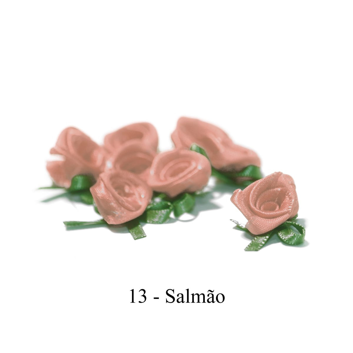 13-SALMAO
