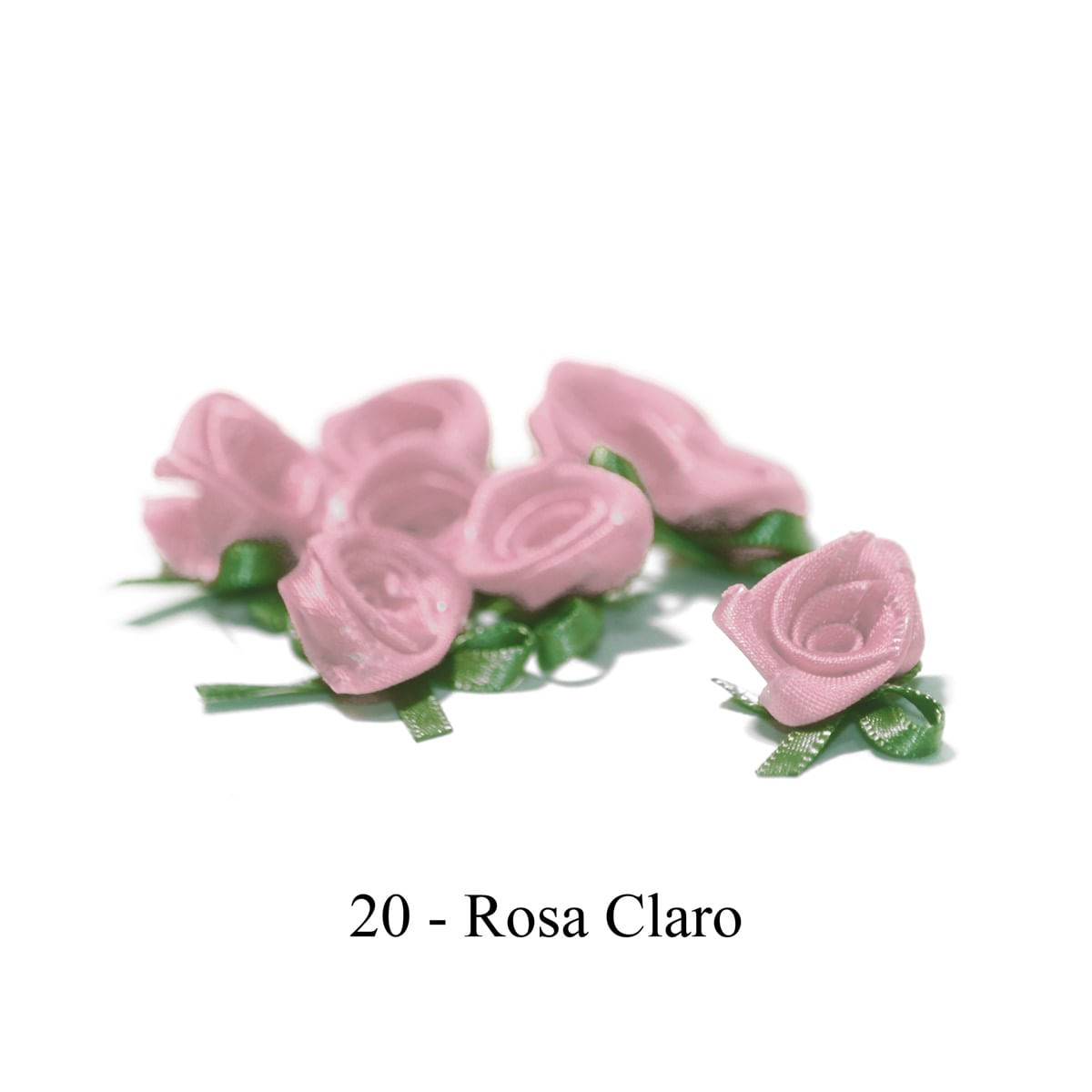 20-ROSA