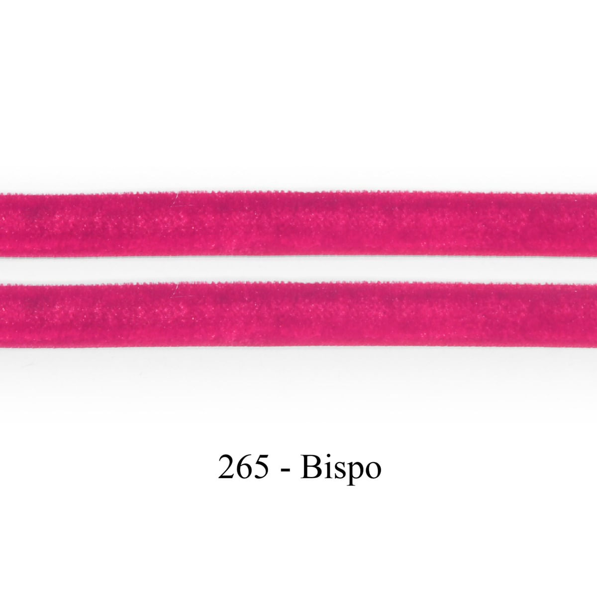 265-BISPO