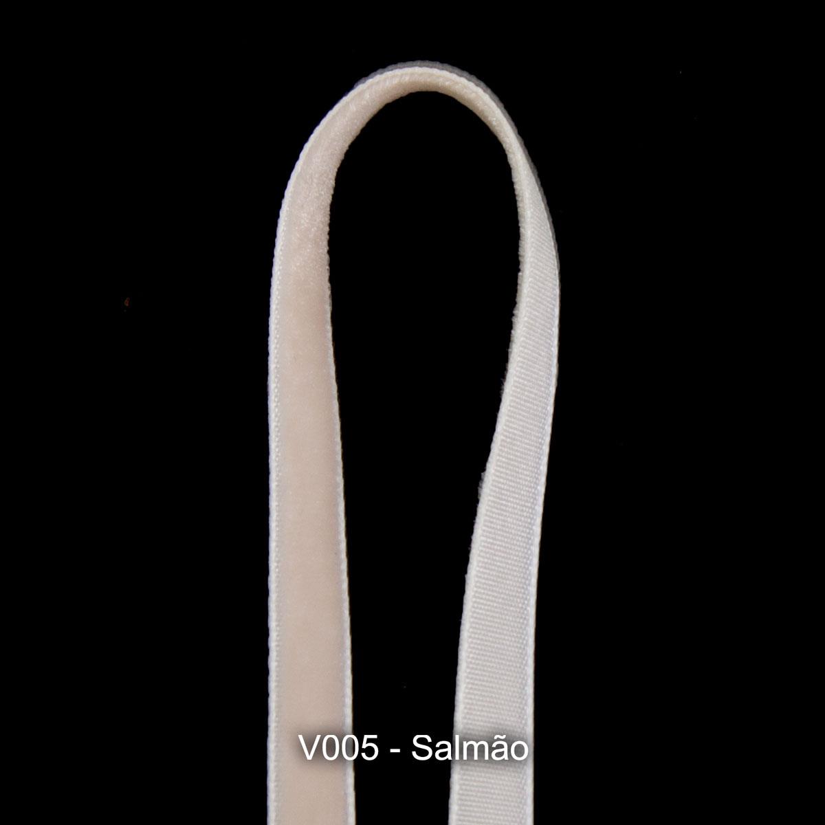 V005-SALMON