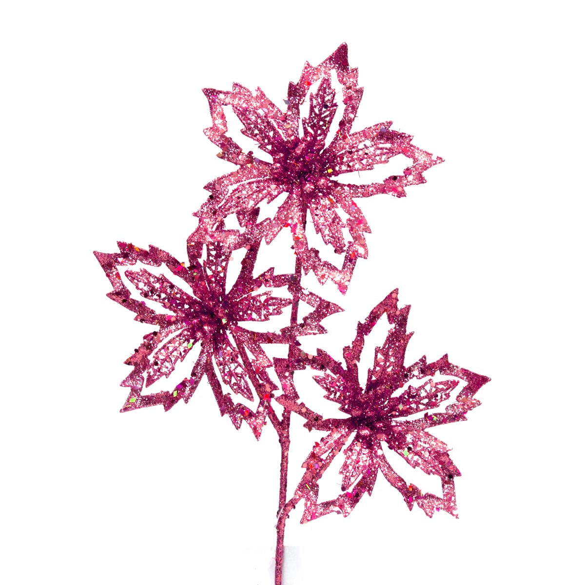 PI-ROSA