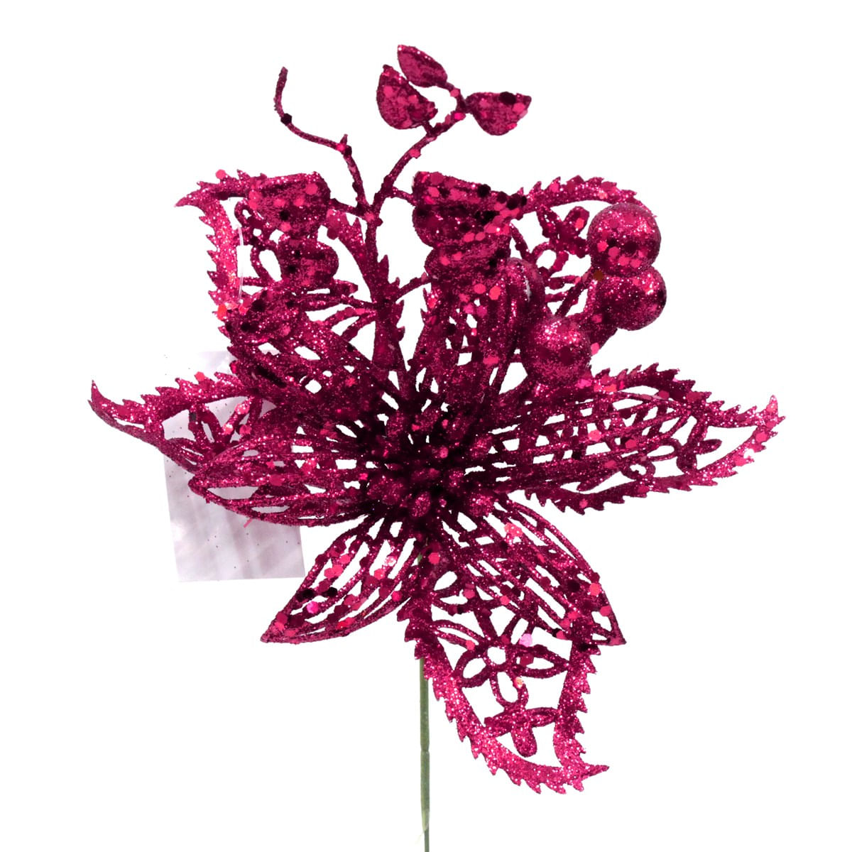 PI-ROSA