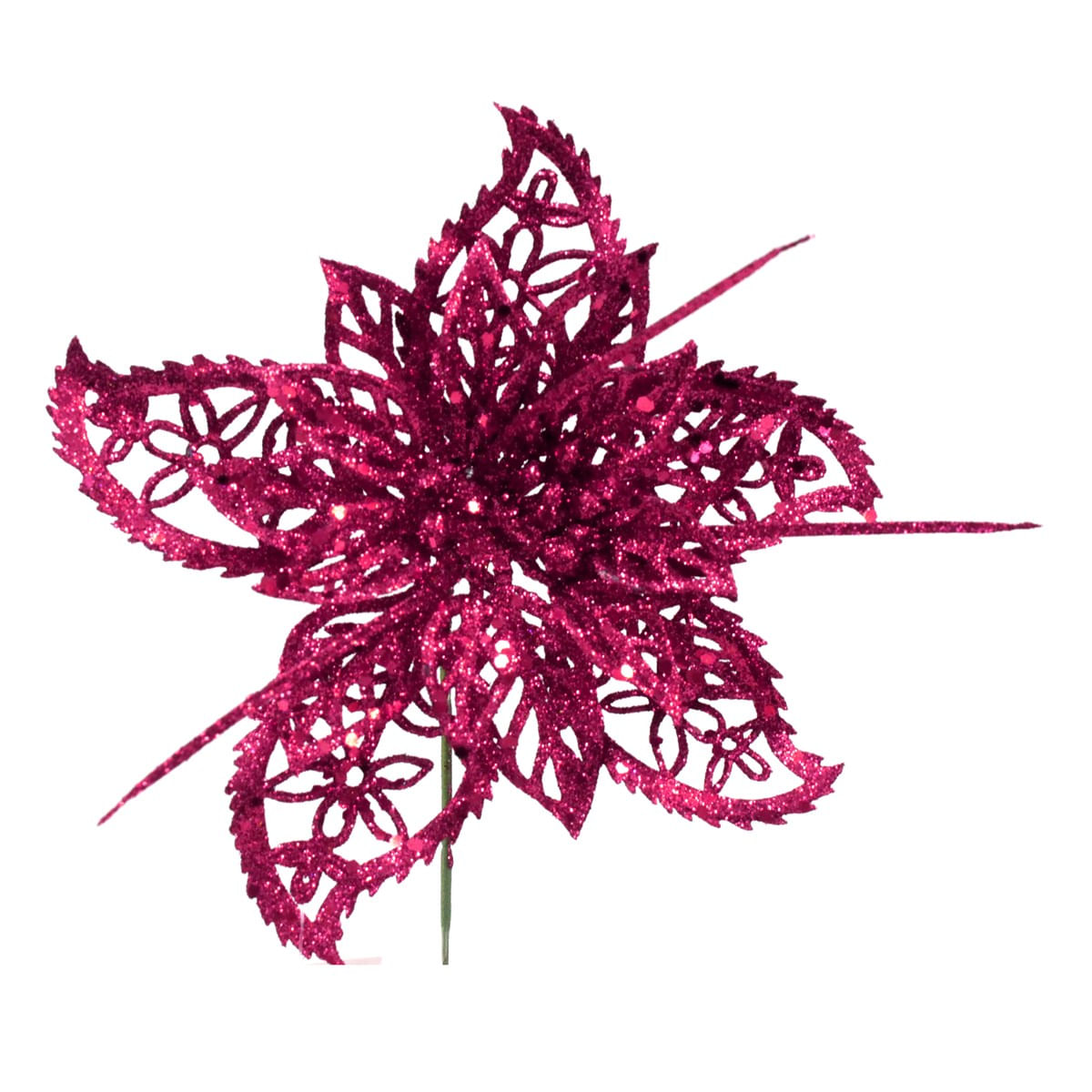 PI-ROSA