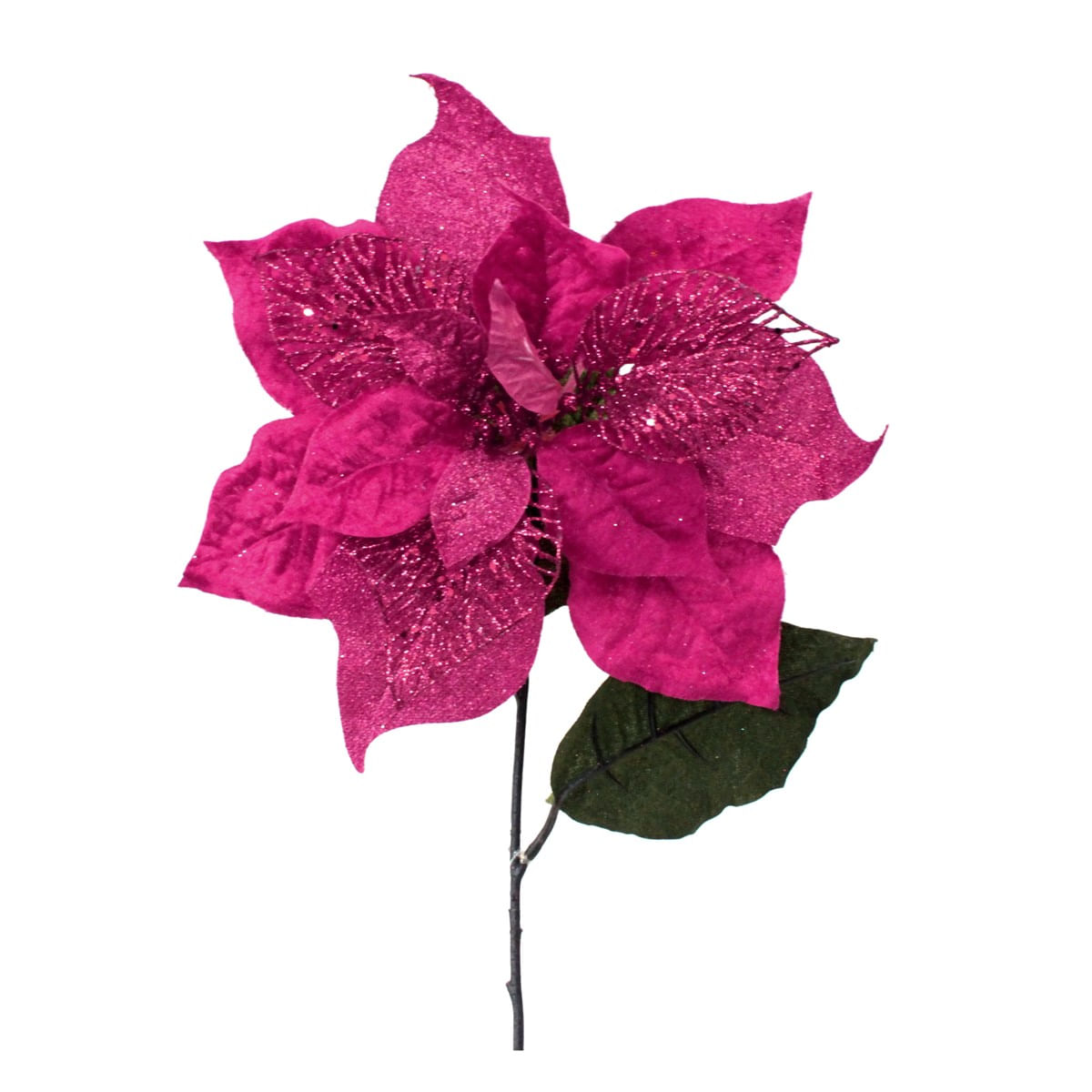 PI-ROSA