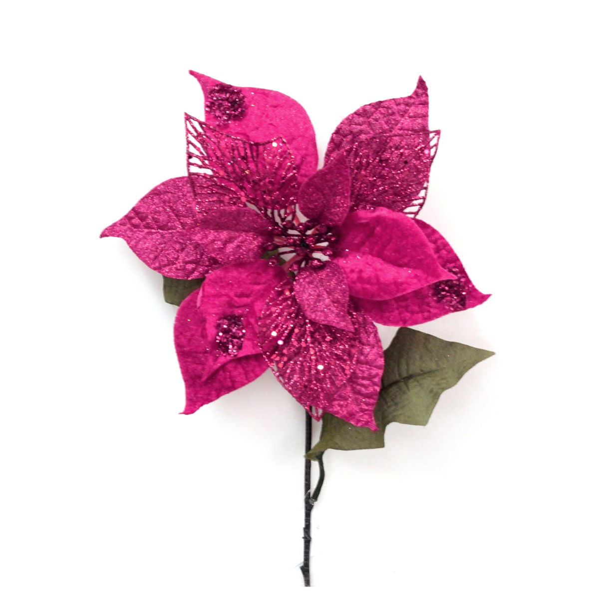 PI-ROSA