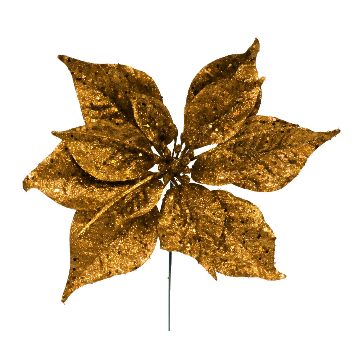 G-DOURADO