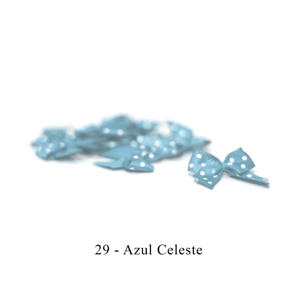 029-AZUL CELESTE POA