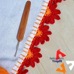 711573_ampliada3